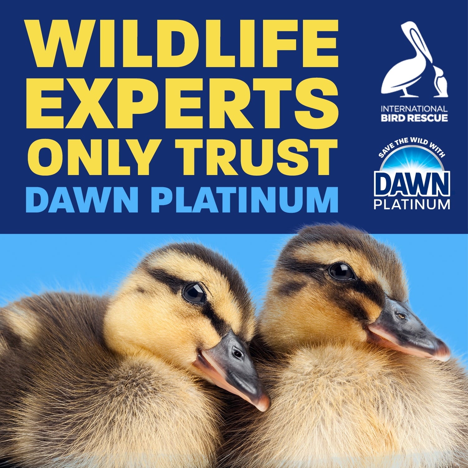 Dawn Platinum Bleach Alternative Dish Soap - Dishwashing Liquid, Clean Lemon, 24 fl oz