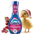 Dawn Powerwash Spray - Dish Soap, Dishwashing Liquid, Cranberry Scent, 1 Starter Kit, 16 fl oz